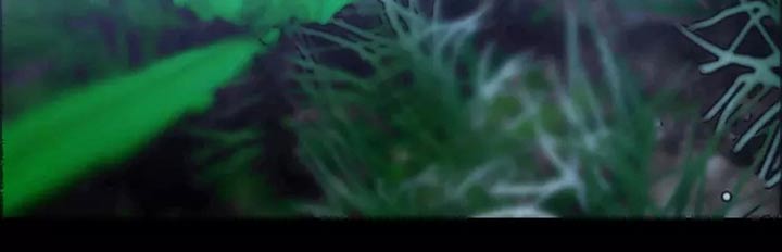 大物展漫画,第53章：偷看2图