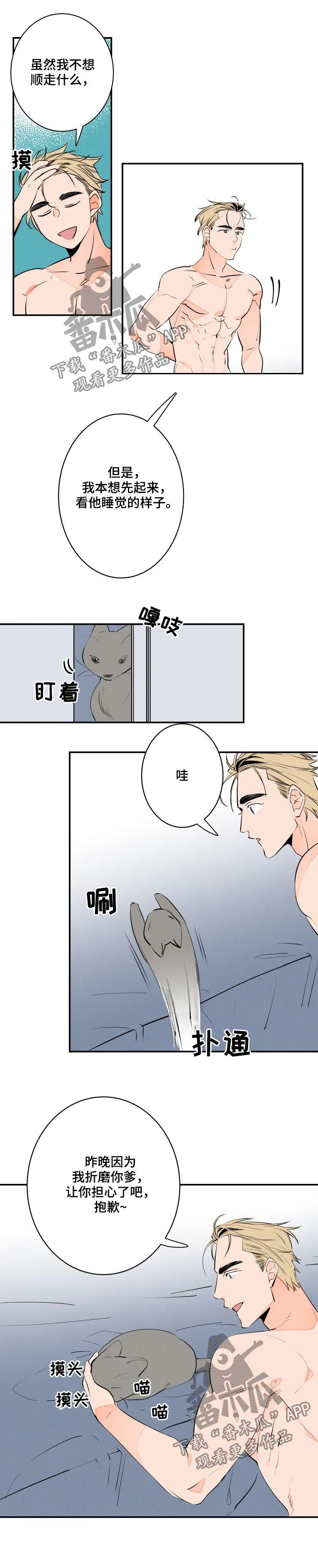 结婚合约第二部电视剧漫画,第63章：可爱4图