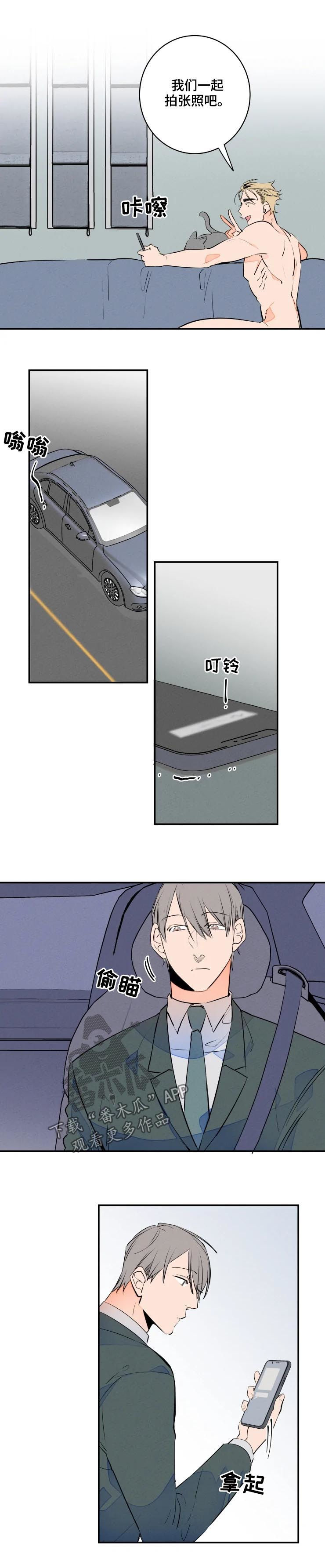 结婚合约第二部电视剧漫画,第63章：可爱5图