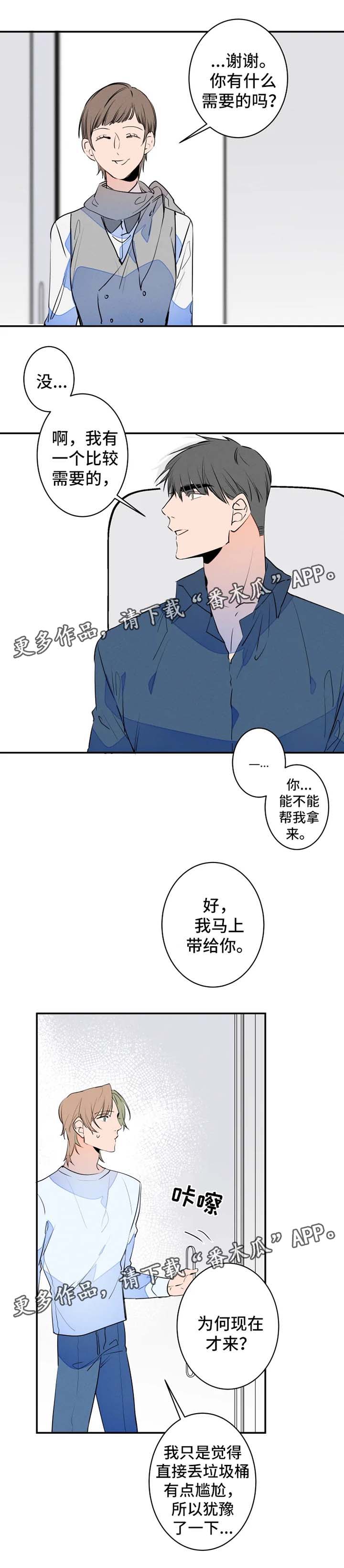 结婚合适比喜欢更重要漫画,第35章：创可贴4图