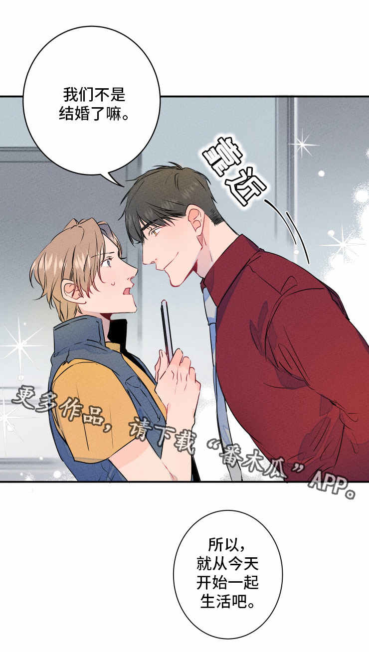 结婚合同搞笑漫画,第4章：合约5图