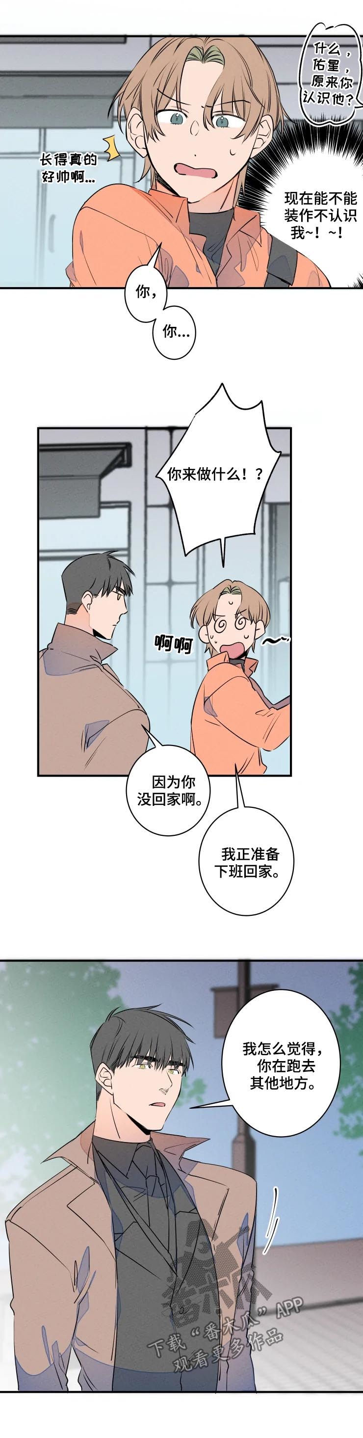 结婚合约第二部电视剧漫画,第67章：聚餐2图