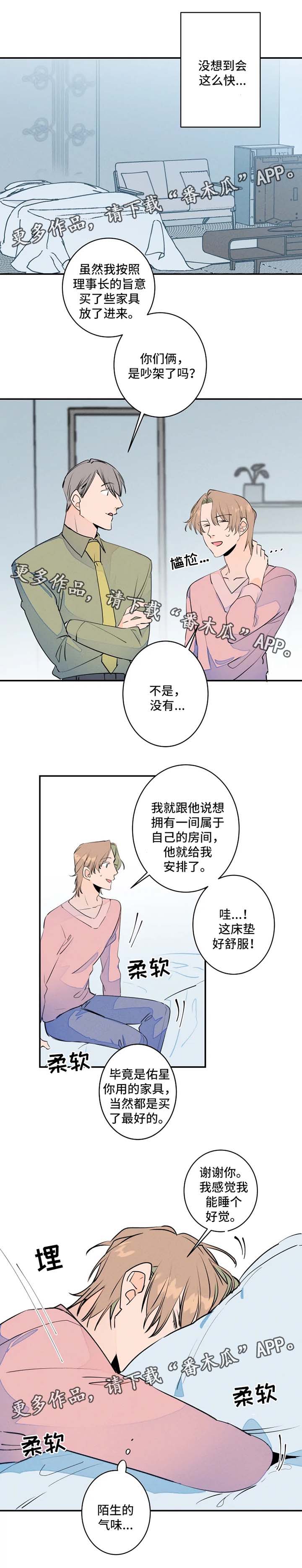 结婚合约具体内容漫画,第31章：不了了之1图