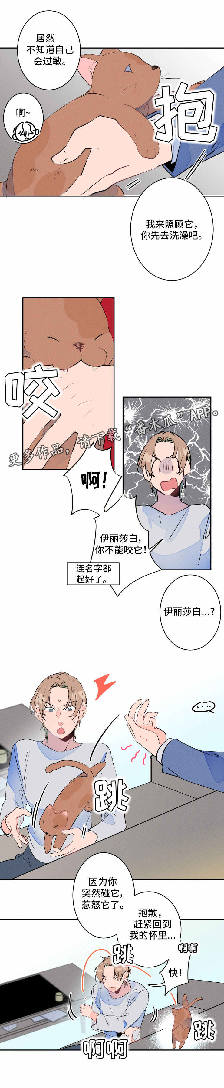 结婚合约漫画,第13章：过敏2图
