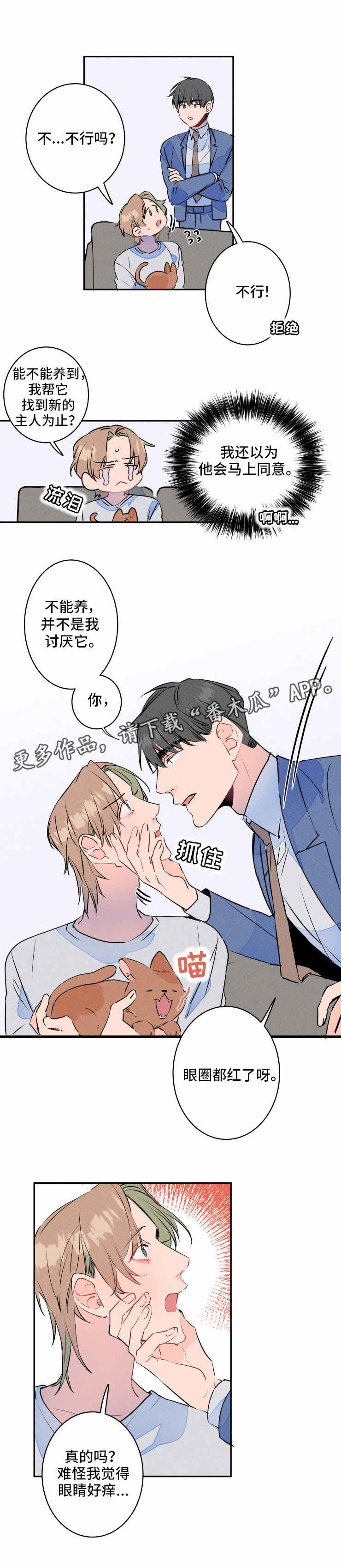 结婚合约漫画,第13章：过敏1图