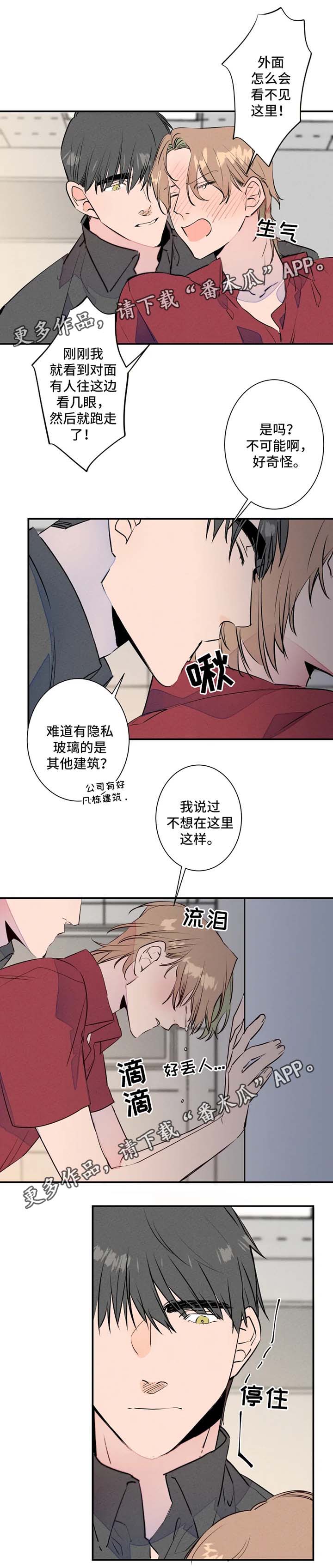 结婚合约第二部电视剧漫画,第28章：羞耻心爆表2图