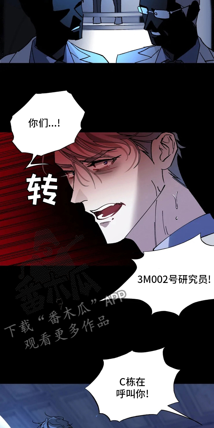 异常现象标志漫画,第35章：回归2图