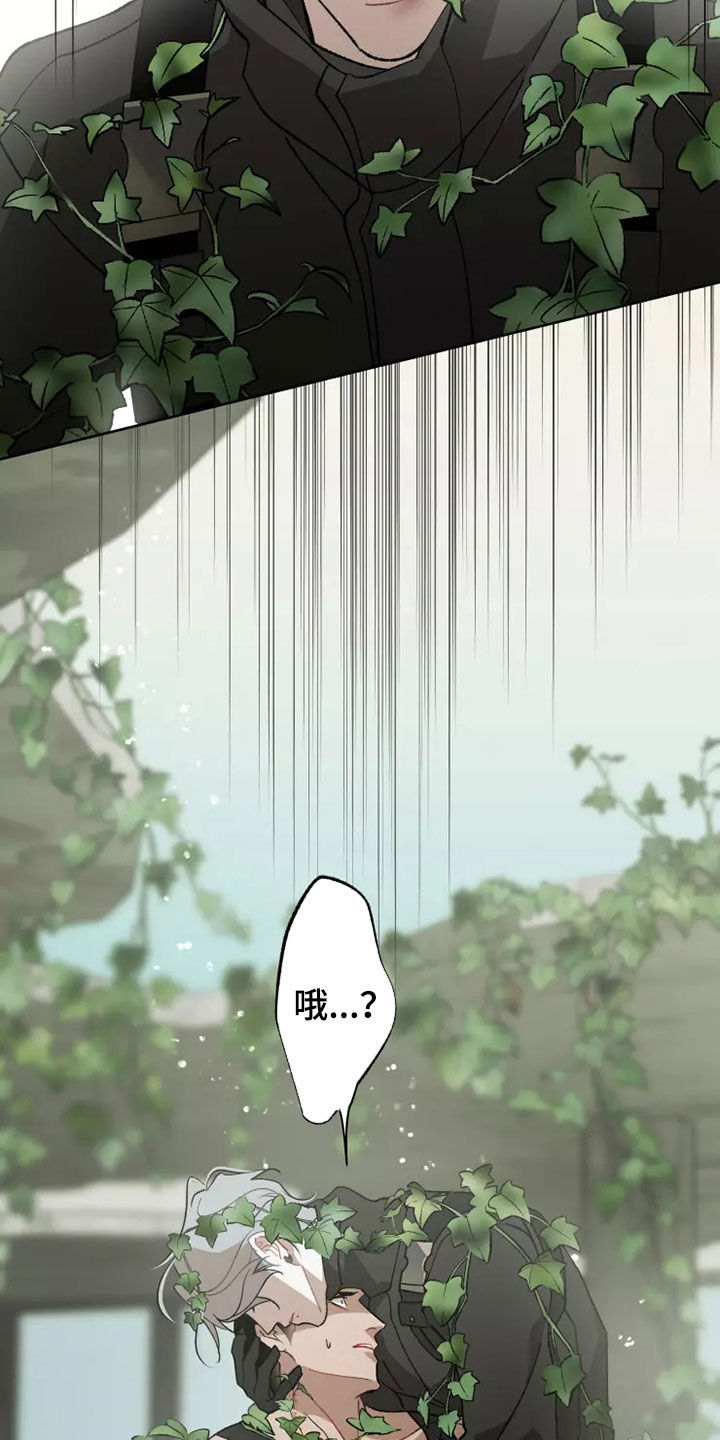 异常凝血酶原和甲胎蛋白哪个准确漫画,第61章：灾害化4图