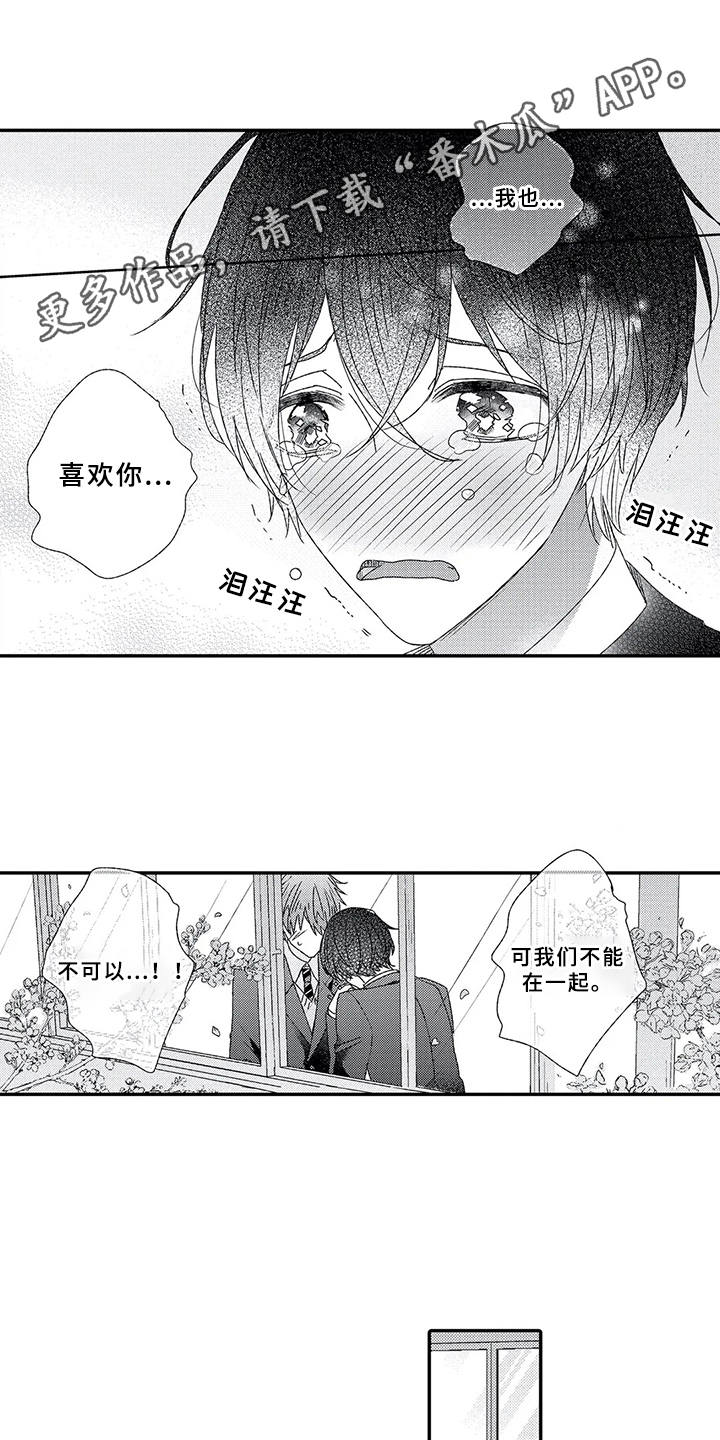 芳香伴侣漫画,第8章：喜欢的心5图