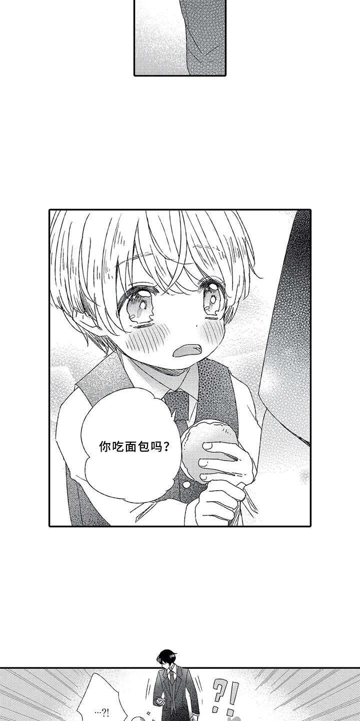 芳香珠鞋柜除味伴侣漫画,第4章：婚礼2图