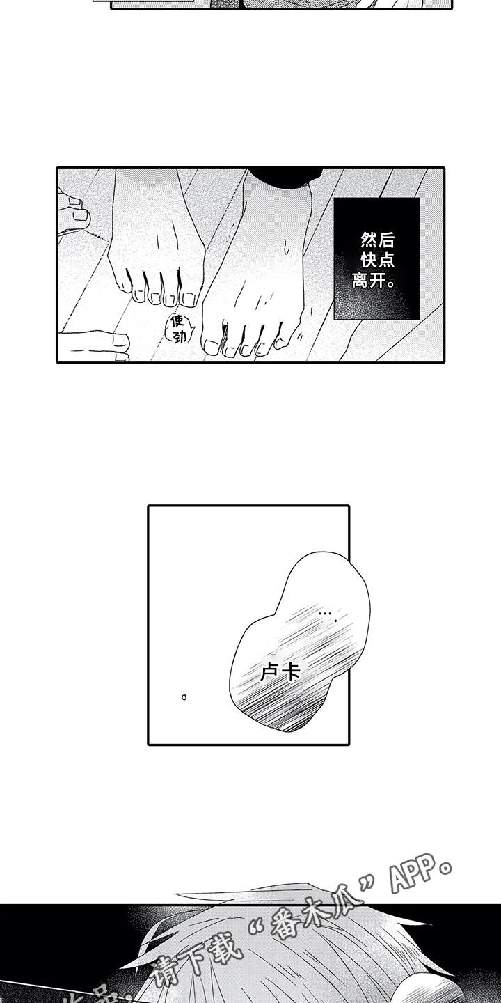 芳香王阳台月季漫画,第12章：下决心5图