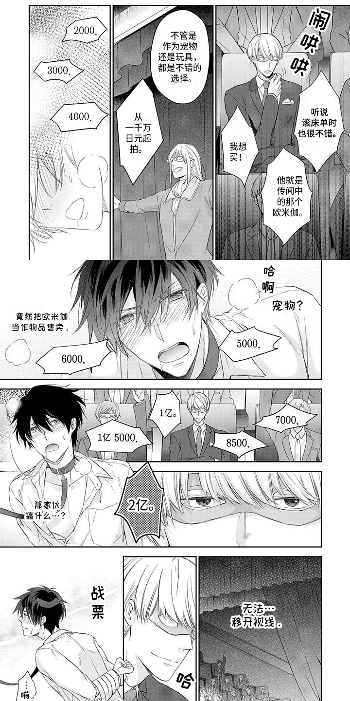 稳定的关系漫画,第2章：拍卖1图
