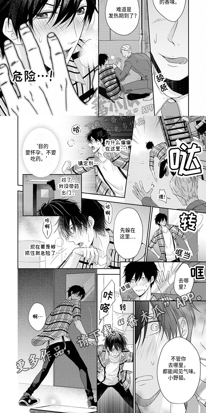 稳定的关系漫画,第6章：意外5图