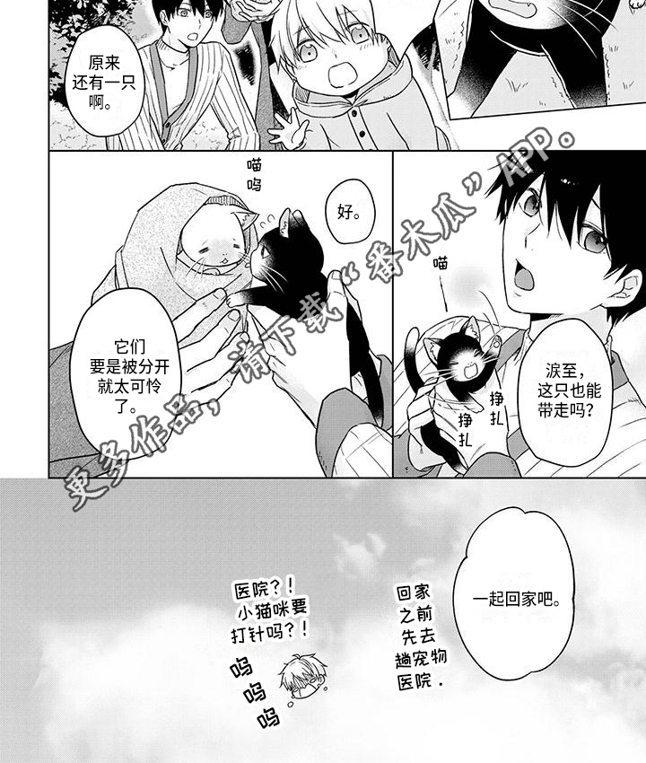 稳定的关系漫画,第57章：不抛弃3图