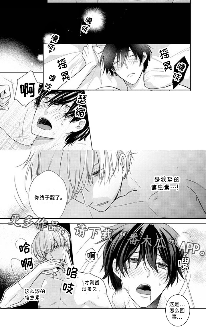 稳定的关系漫画,第13章：我的伴侣1图