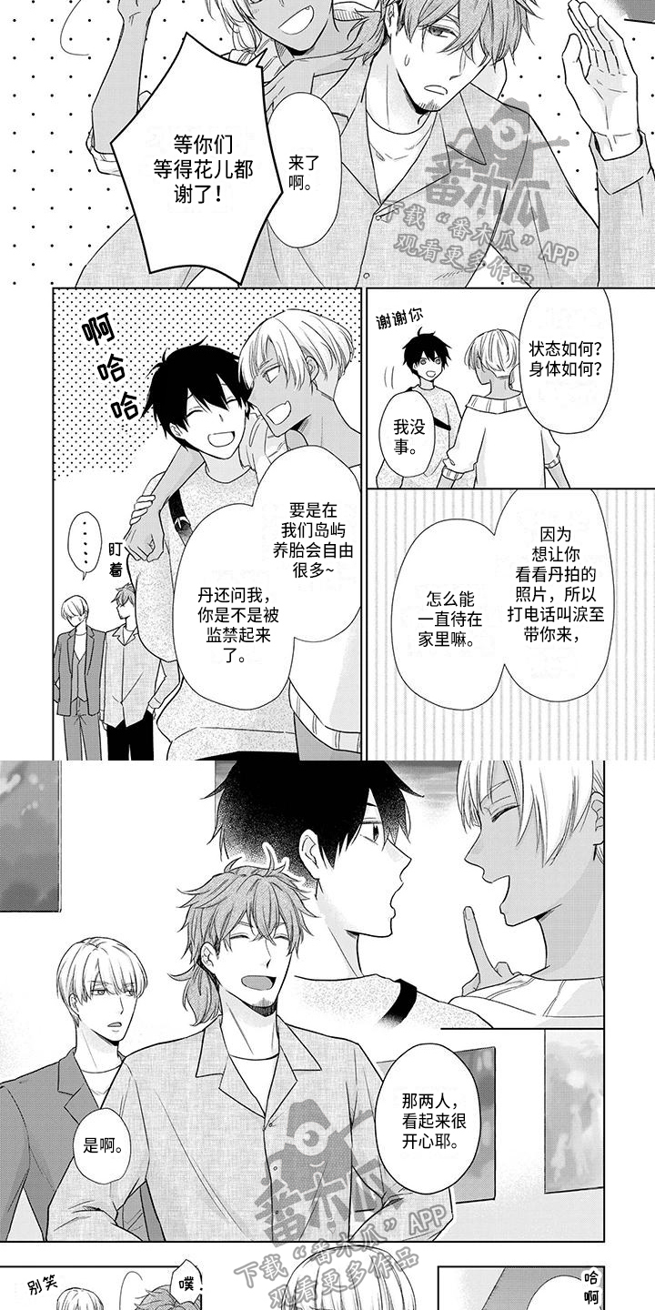 改革、发展、稳定的关系漫画,第53章：好主意3图