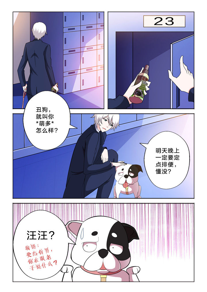 颜与容漫画,第33章：巧合3图