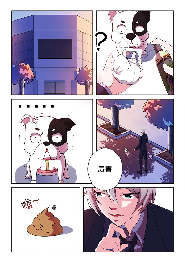 颜与容漫画,第33章：巧合2图