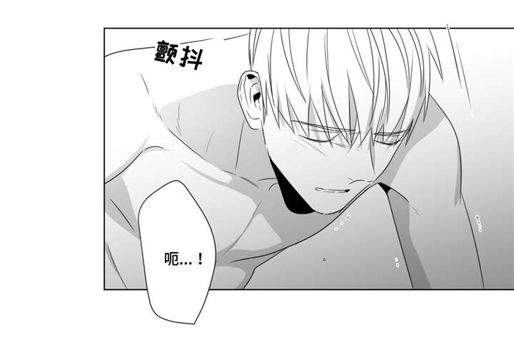 重逢之约漫画,第66章：我喜欢你4图