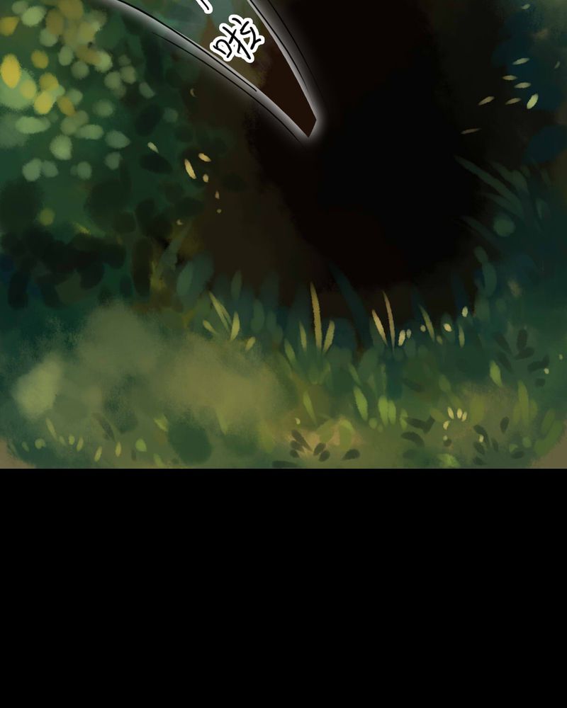 冥家的拂夕儿漫画,第48章：1图