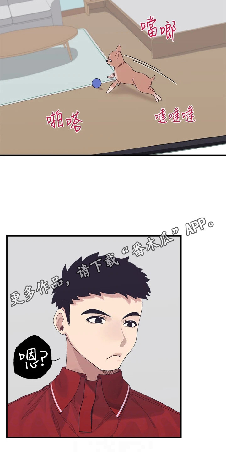联网配对中免费观看全集漫画,第6章：梦想4图