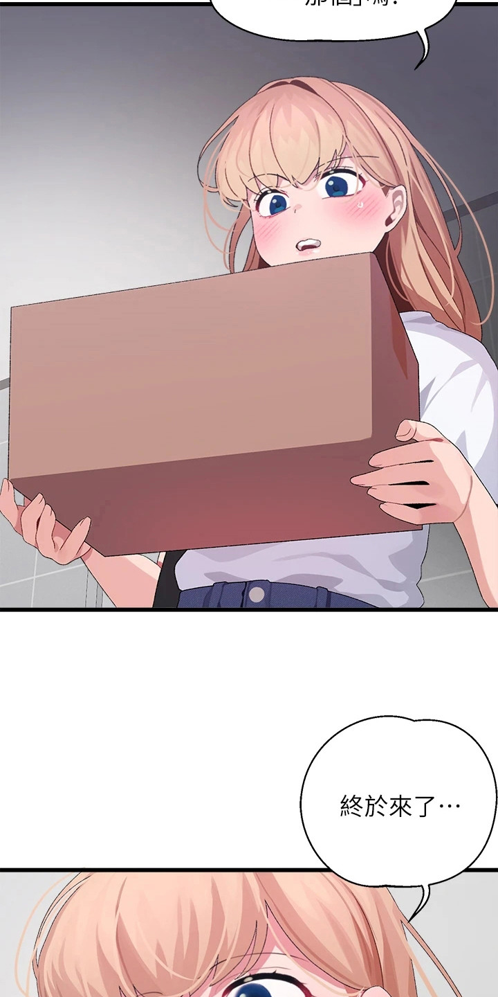 联网核查照片不一致怎么处理漫画,第20章：快递2图