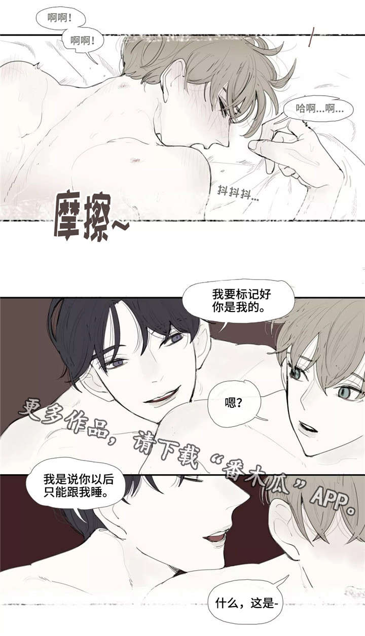 失忆凶杀漫画,第4章：照片5图