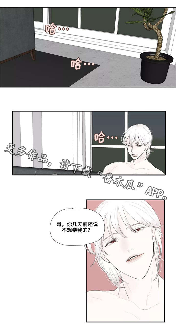失忆凶杀漫画,第28章：欺骗3图