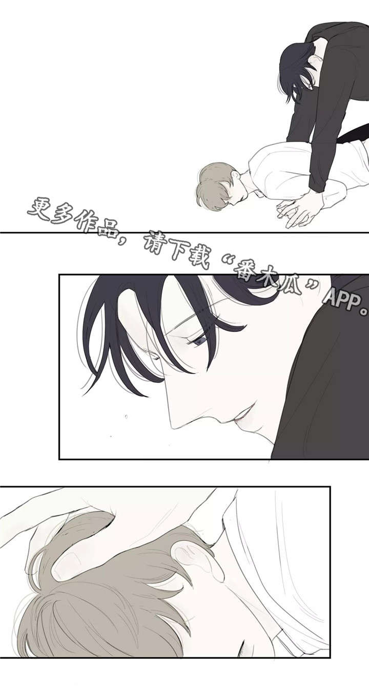 失忆凶杀漫画,第39章：质问5图