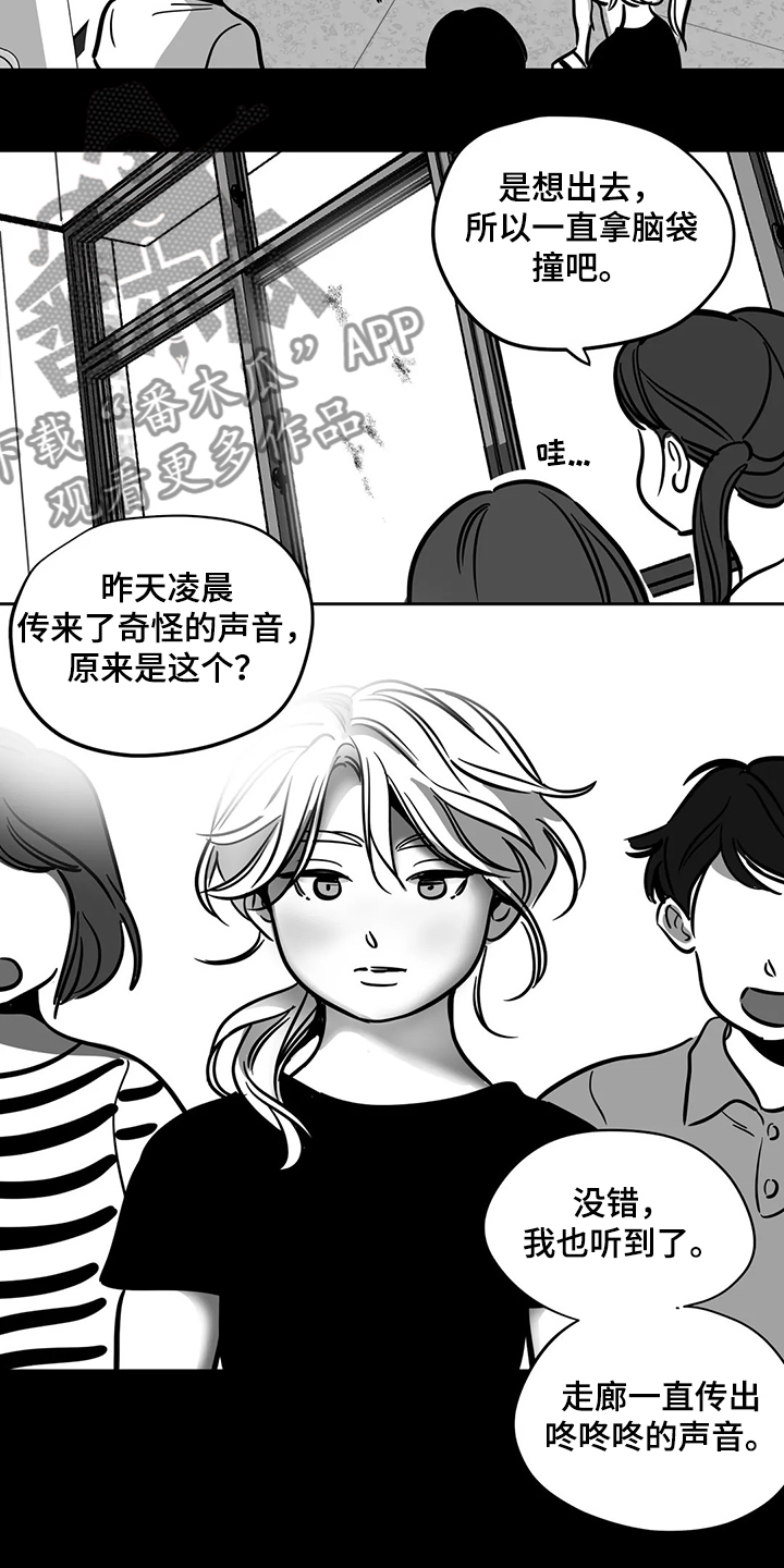 鸠占鹊巢假千金赶出门漫画,第65章：【第二季】撞死的鸟2图