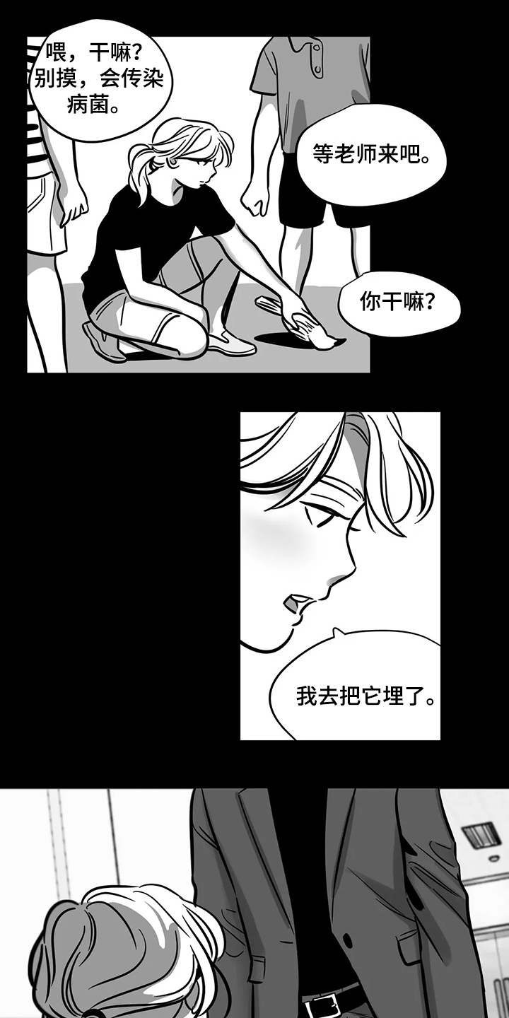 鸠占鹊巢假千金赶出门漫画,第65章：【第二季】撞死的鸟3图
