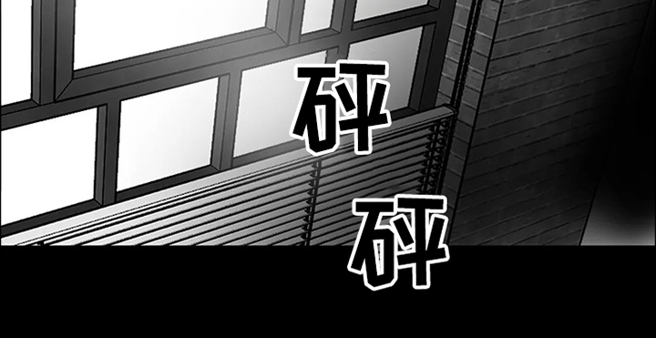 鸠占鹊巢漫画,第65章：【第二季】撞死的鸟5图