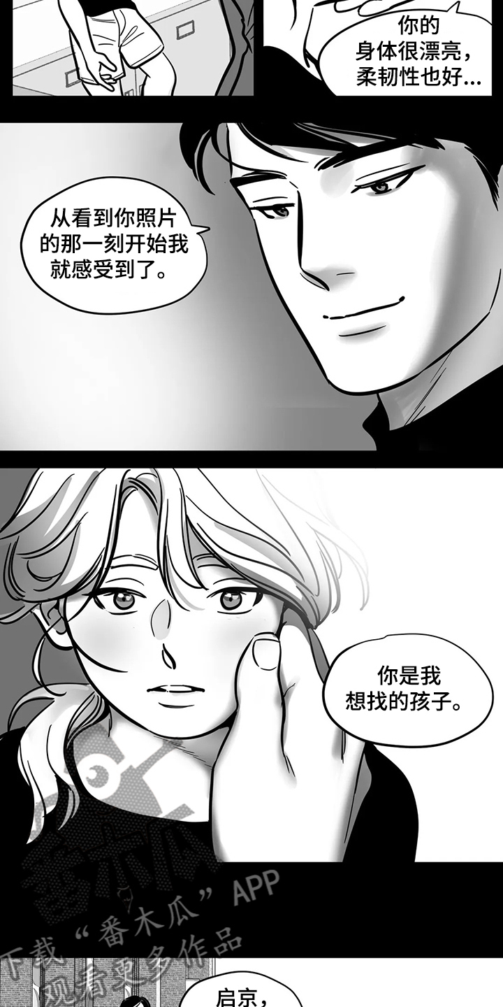 鸠占鹊巢漫画,第65章：【第二季】撞死的鸟2图