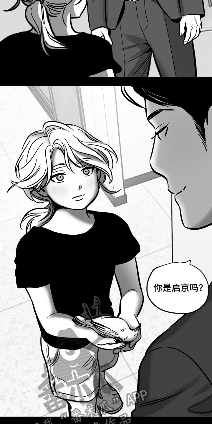 鸠占鹊巢假千金赶出门漫画,第65章：【第二季】撞死的鸟4图
