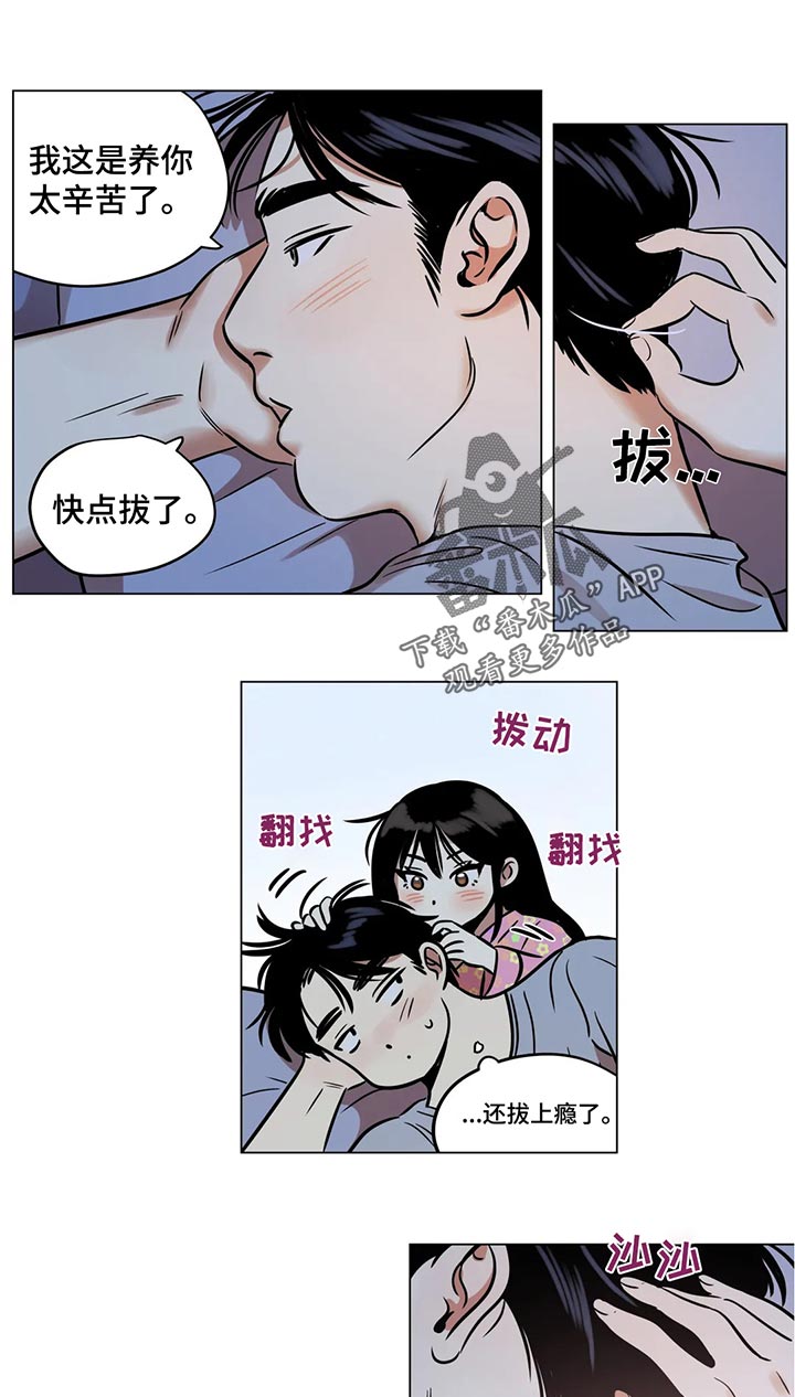 鸠占鹊巢漫画,第29章：白头发2图