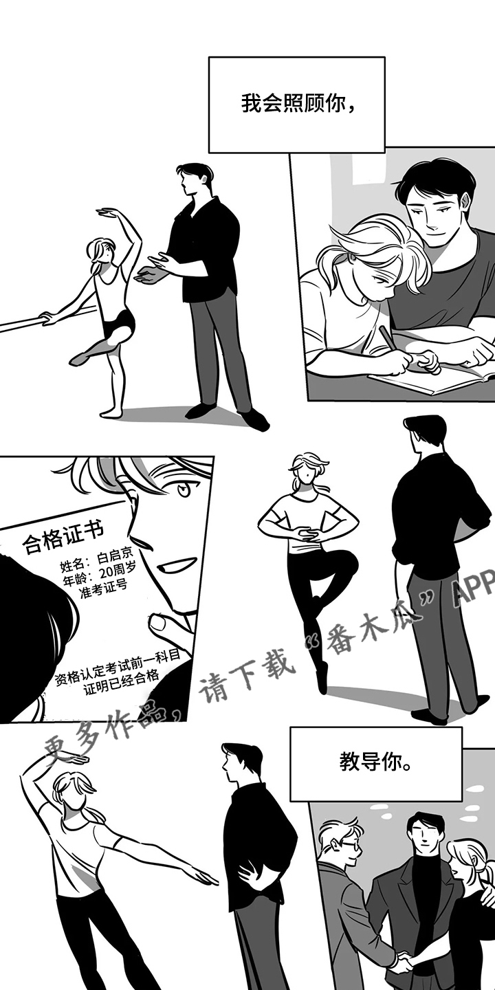 鸠占鹊巢漫画,第65章：【第二季】撞死的鸟5图