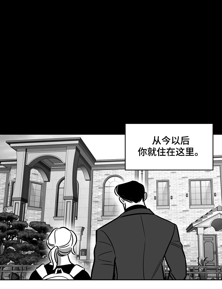 鸠占鹊巢漫画,第65章：【第二季】撞死的鸟4图
