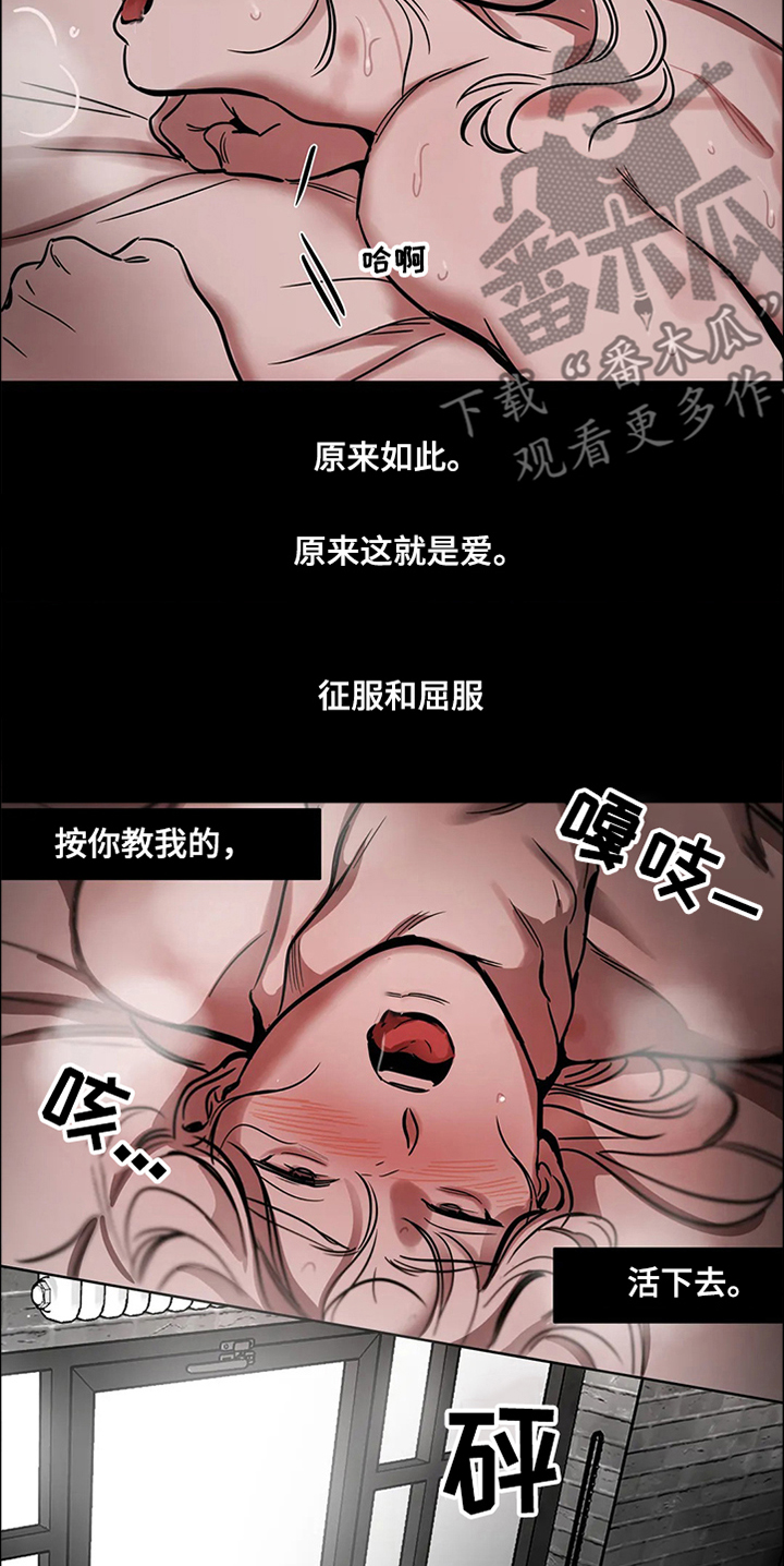 鸠占鹊巢漫画,第65章：【第二季】撞死的鸟4图