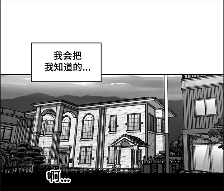 鸠占鹊巢漫画,第65章：【第二季】撞死的鸟2图