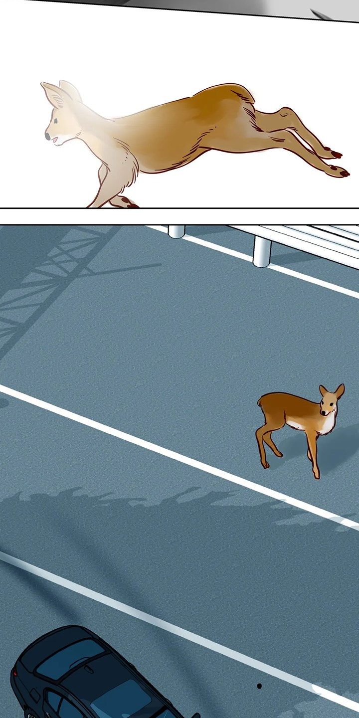 鸠占鹊巢毛坯房后续处理漫画,第80章：【第二季】离开与再遇4图