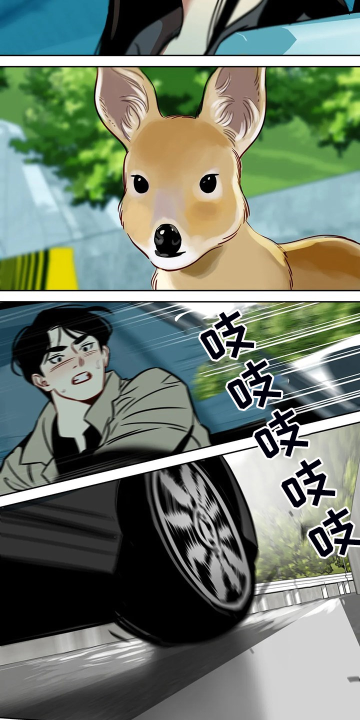 鸠占鹊巢毛坯房后续处理漫画,第80章：【第二季】离开与再遇3图