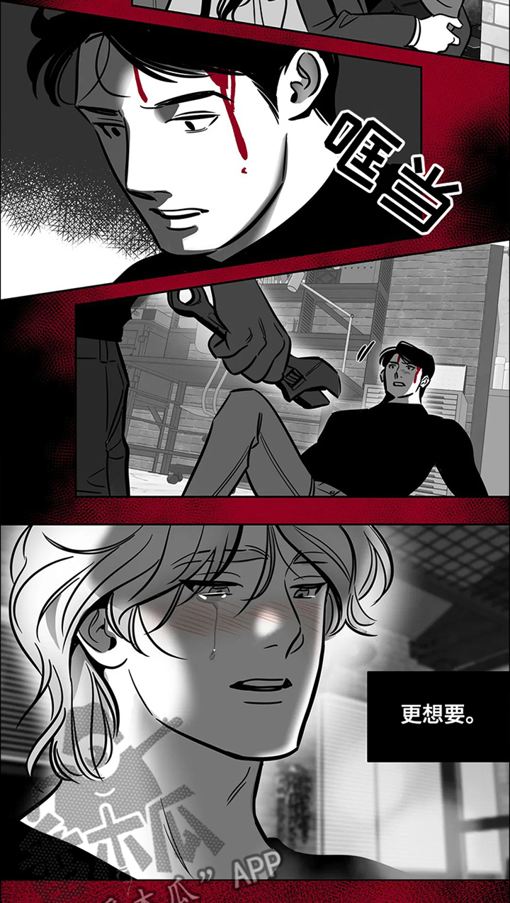 鸠占鹊巢漫画,第65章：【第二季】撞死的鸟2图