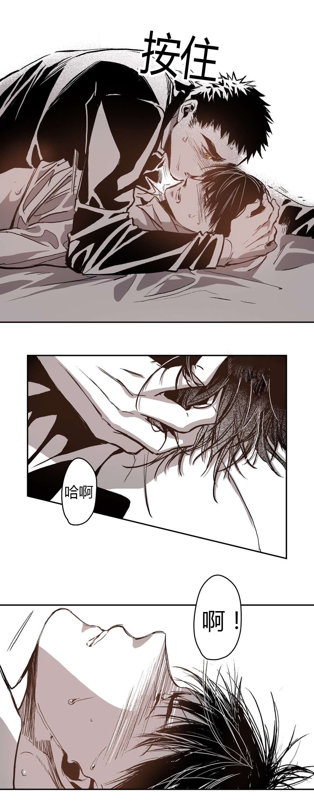 困地为牢的小说漫画,第56章：愤怒5图