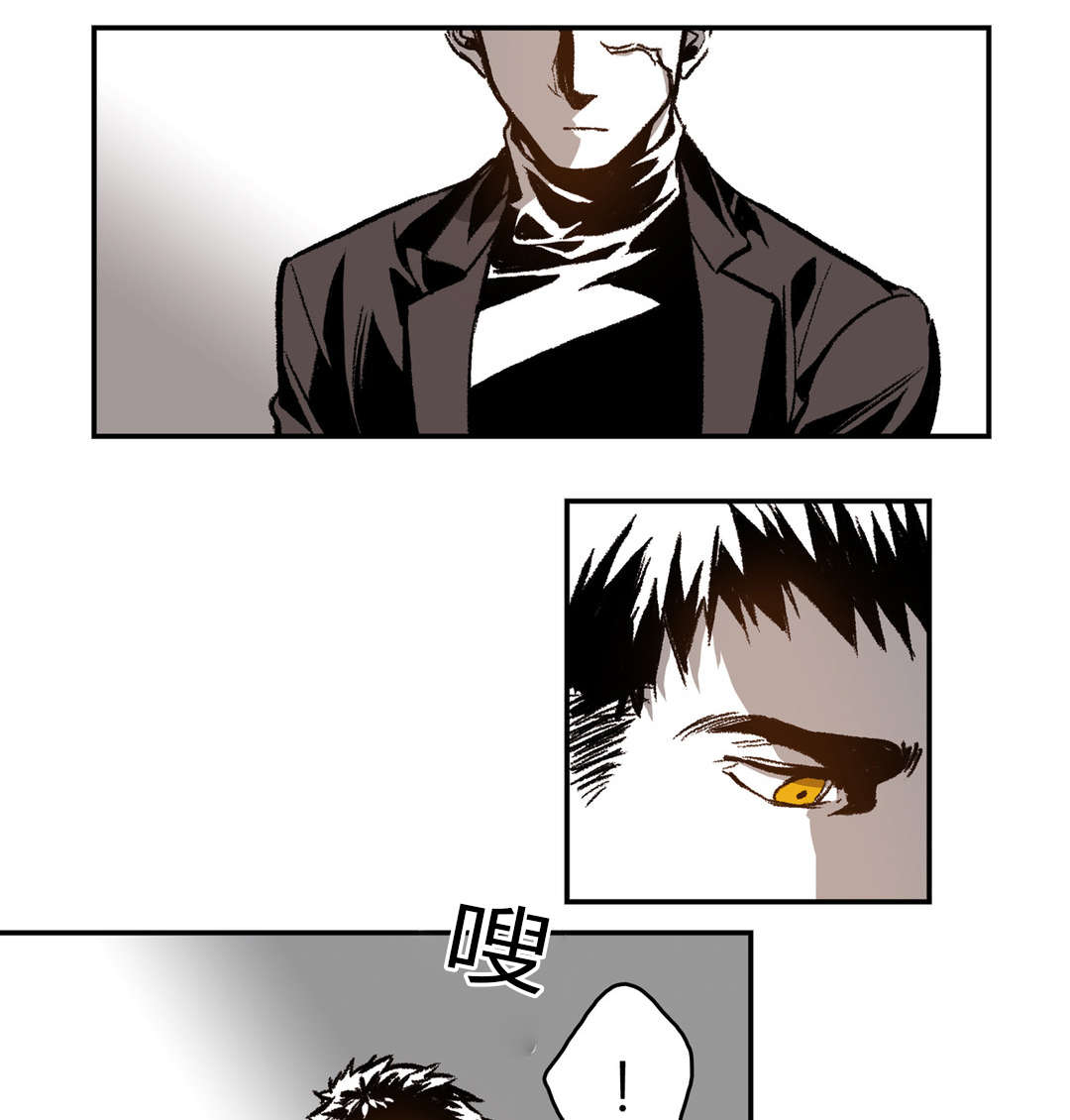 困地为牢小说漫画,第42章：动起来2图