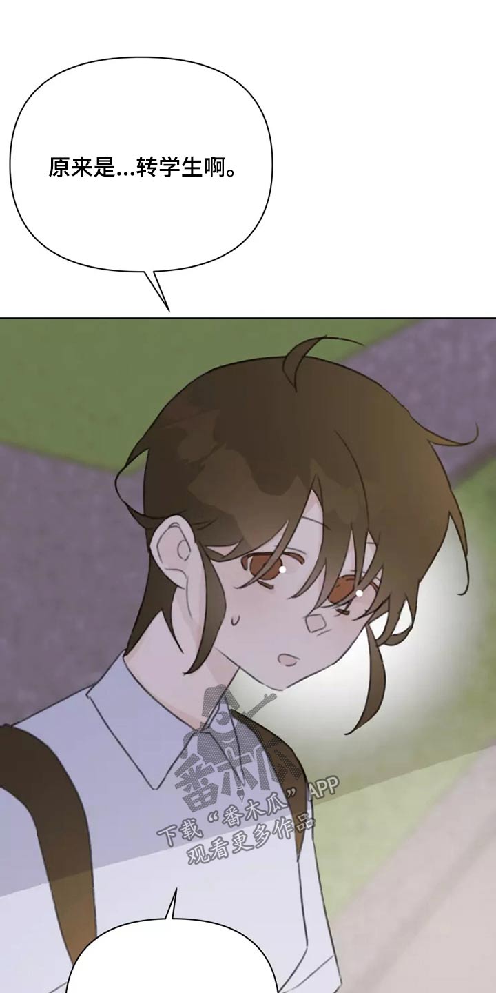 浪漫青春排行榜漫画,第38章：转学生4图