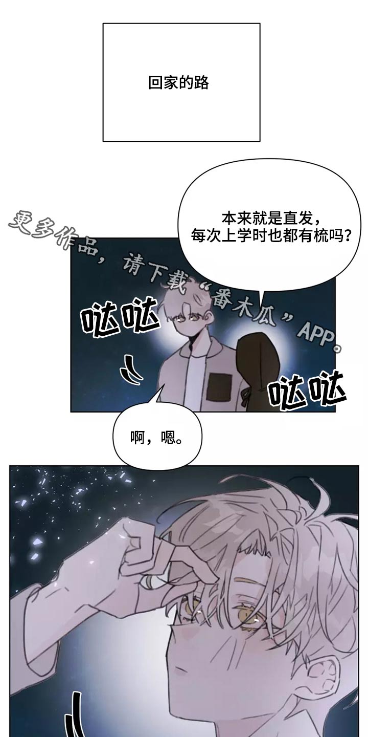 浪漫的青春漫画,第29章：熟悉1图