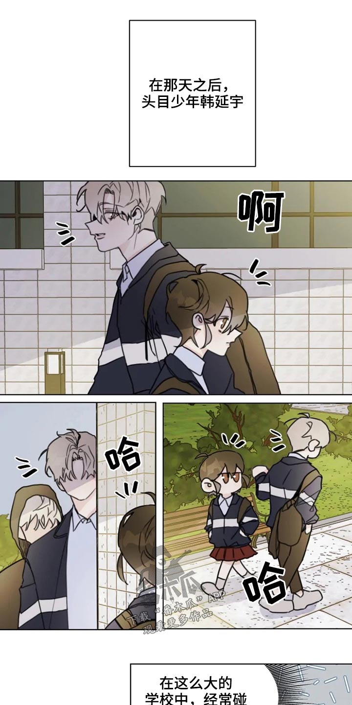 高雅拉浪漫青春时光漫画,第19章：怎么办1图