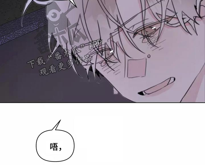 浪漫青春是什么意思漫画,第23章：姐姐5图