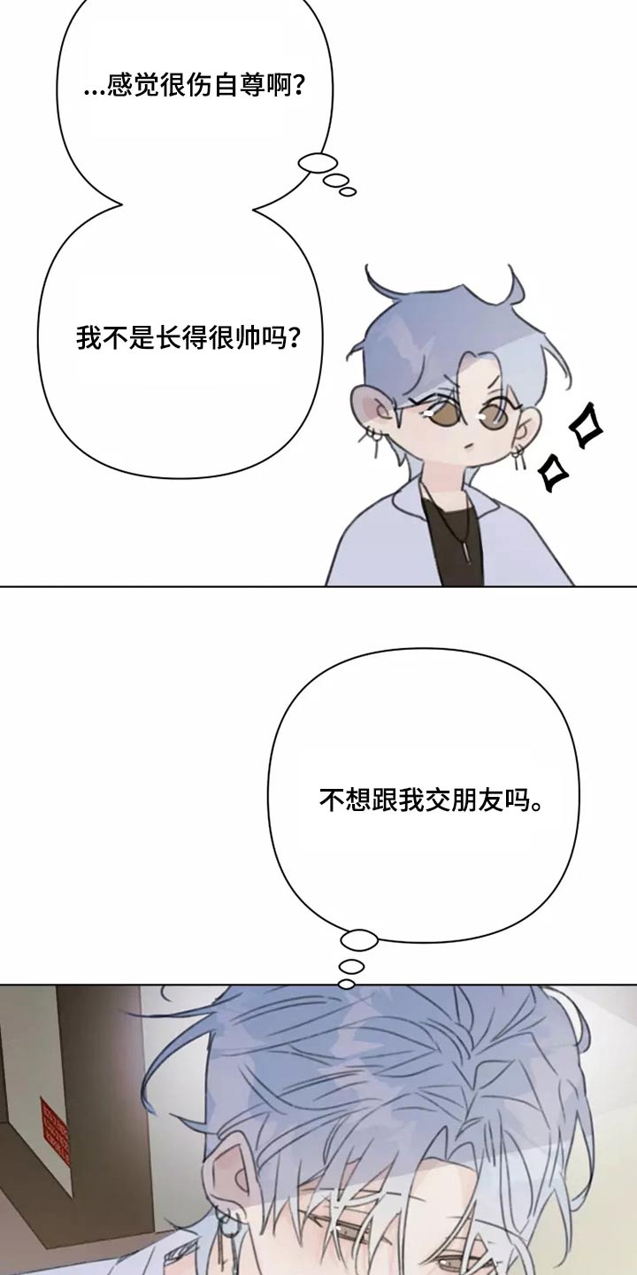 浪漫的青春电视剧全集免费观看漫画,第38章：转学生3图