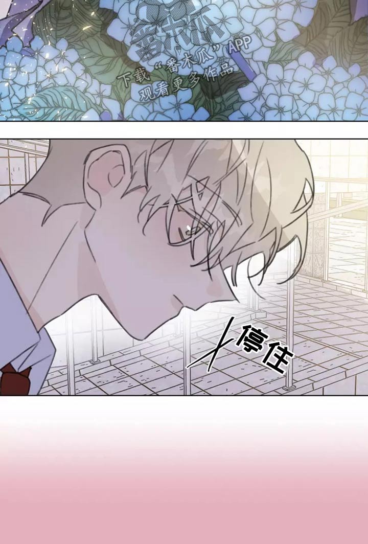 浪漫的青春漫画,第30章：邻居2图